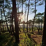 Jolie Ocean Tatil Evi *