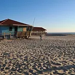 Jolie Ocean *