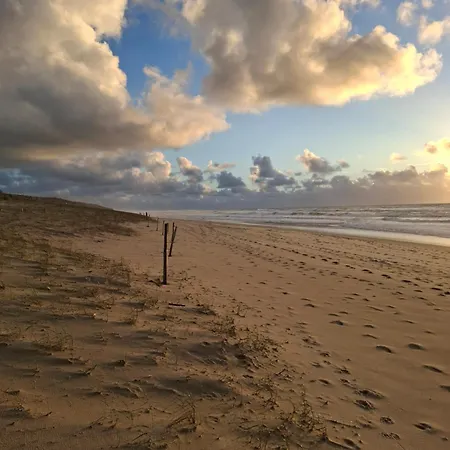 Jolie Ocean *