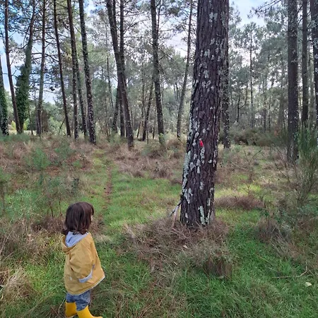 Jolie Océan Сasa de vacaciones