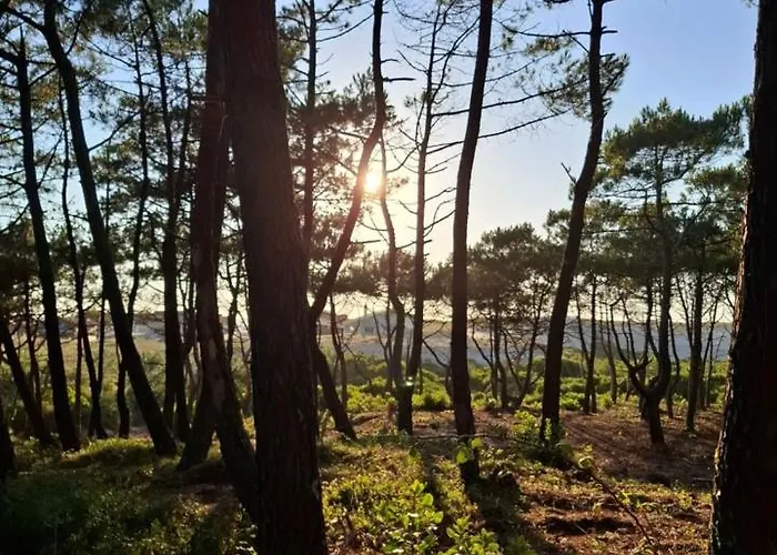 Jolie Ocean Prázdninový dům *