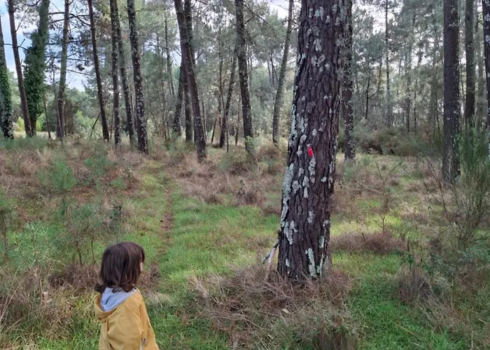 Jolie Ocean Prázdninový dům